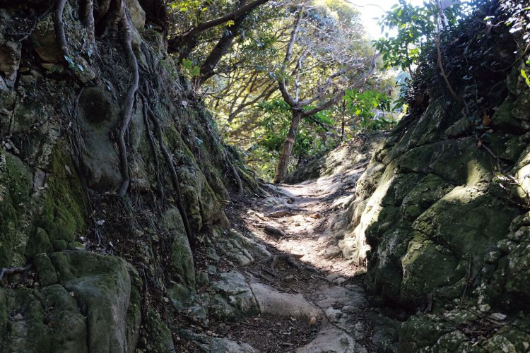 乳頭山へ行く手前では、岩場を削って道にした鎌倉の切通しのようなところもある。普通の登山道とは違う雰囲気が漂う。