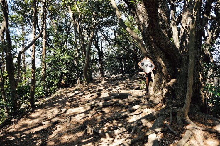 標高202ｍの低山、乳頭山。山頂はけっこう広く、展望は北東が開けている。三浦アルプスでは上山口分岐の先にある芽塚が212ｍと一番高い。