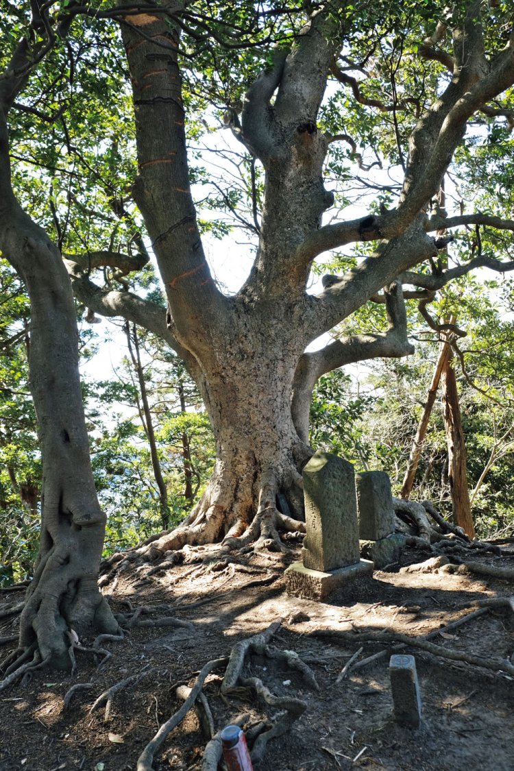 観音塚には千手観音の石仏がある。約200年前からここにあったようだ。
