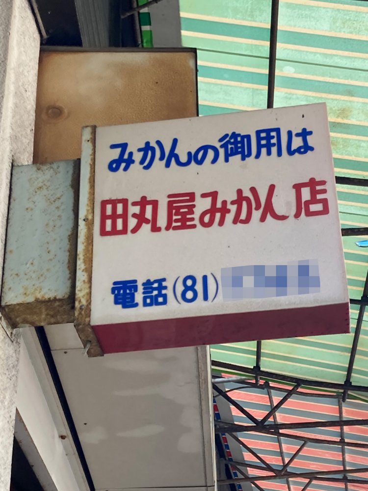 潔いほどのみかん一筋（熱海）。