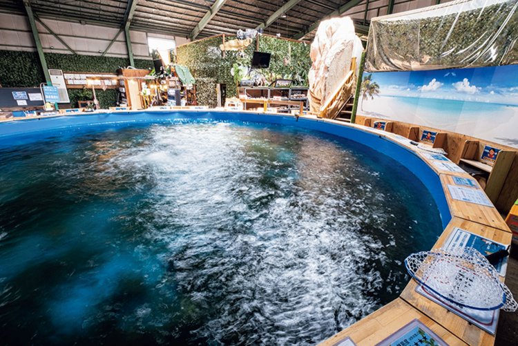 円形の海水魚釣場。海水は専門技術で厳格に管理されており、マダイやカワハギなど一部の魚は有料で持ち帰りOKだ。