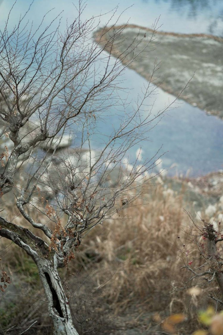 ISO100 F1.4 1/640秒。