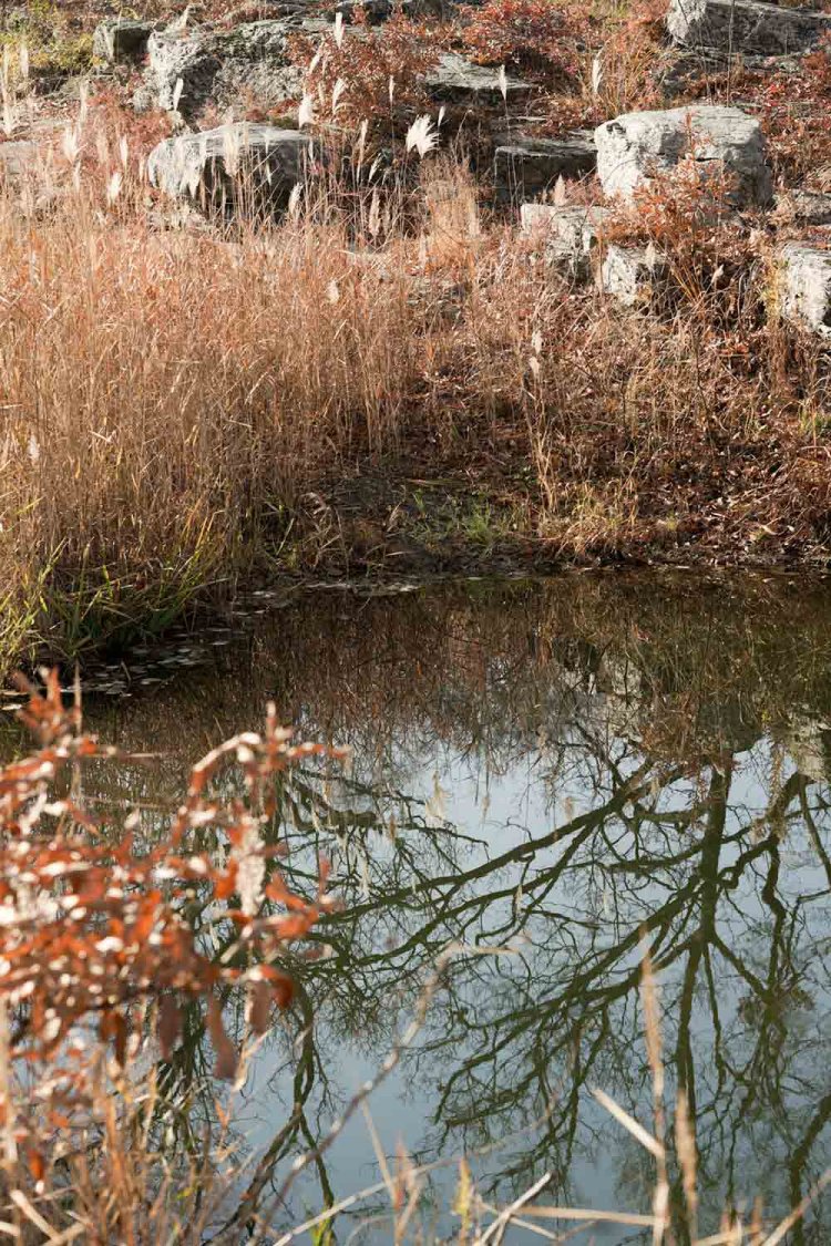 ISO100 F5.0 1/320秒。