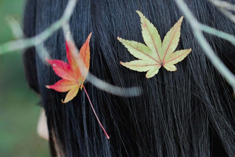 【カメラガールズ】『SONY FE 85mm F1.4 GM』レビュー