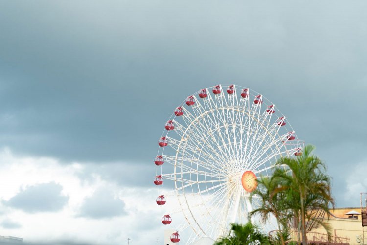 ISO100 F1.4 1/1000。