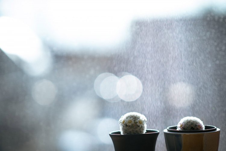 ISO100 F1.6 1/1000秒。