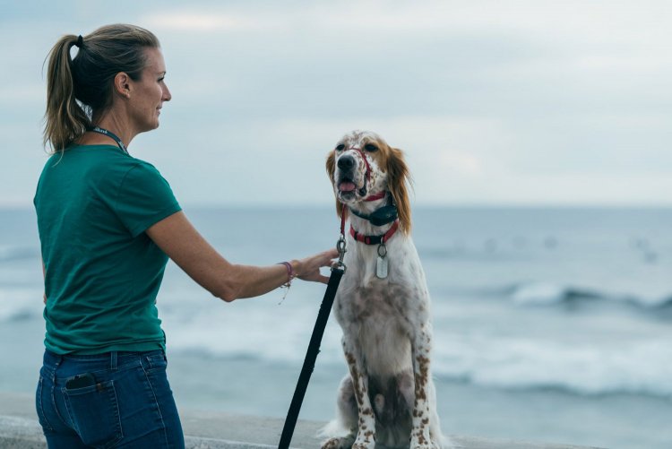 ISO100 F2.5 1/250秒。