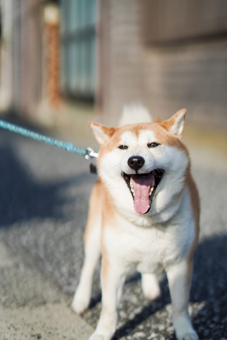 ISO100 F1.4 1/6400秒。