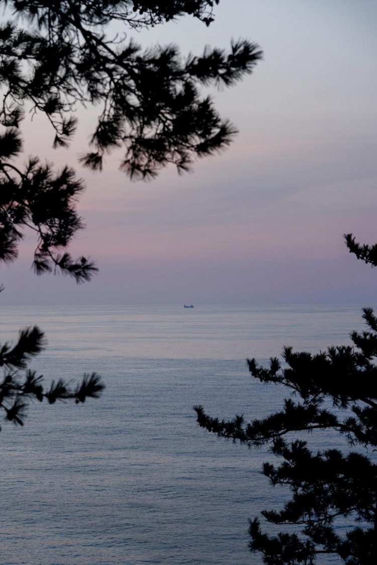 ISO100 F4.0 1/80秒。