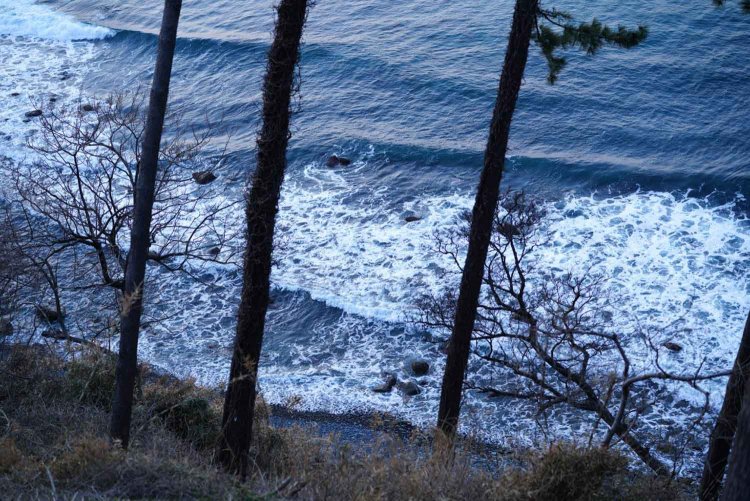 ISO400 F2.8 1/80秒。