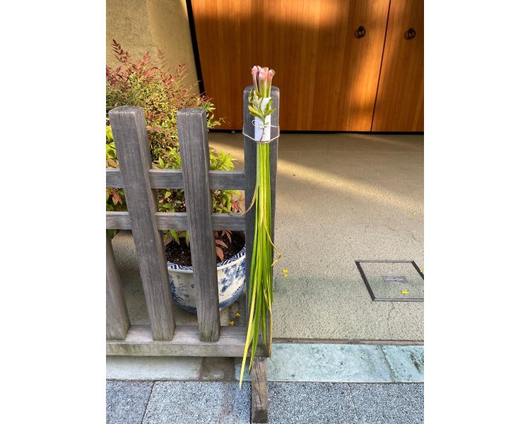 本堂の扉が閉じられているときにも、境内のしつらいから季節を感じることができる。