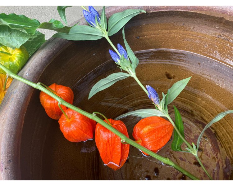 この日は、お盆の飾りに使われるほおずきが鮮やかな色を見せていた。