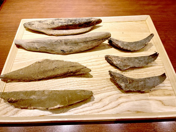 大きい方が枕崎産の本枯節で、小さいほうが高知県の宗田枯節。