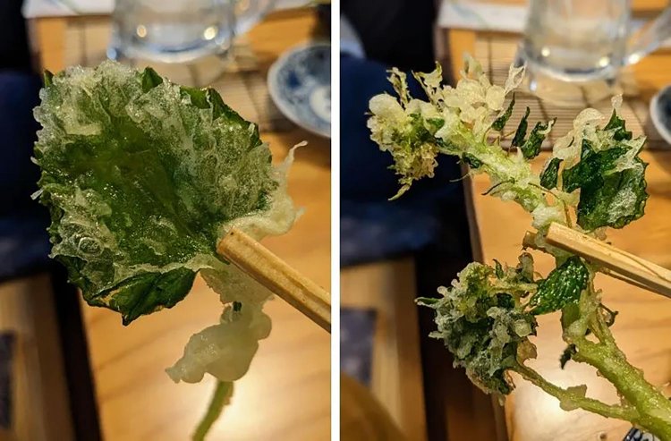 【酒場ナビ】松本「太助」