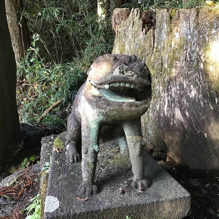 武田「何とも言えない気持ち悪さがあって、惹かれる」