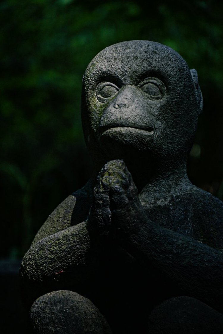 阿部「表情、佇まいが素敵」