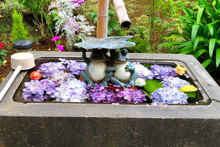 武田「2匹いるのがいいよね」　阿部「アジサイに囲まれて、雨宿りしている様子がかわいい」