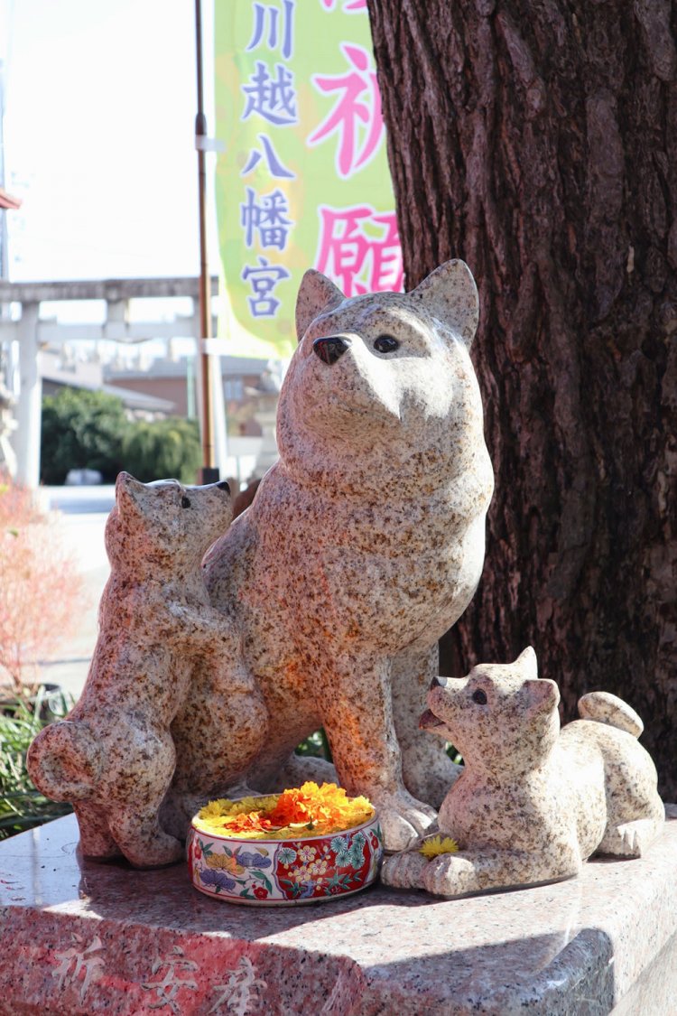 白瀧「寄り添う様子に胸をつかれた」