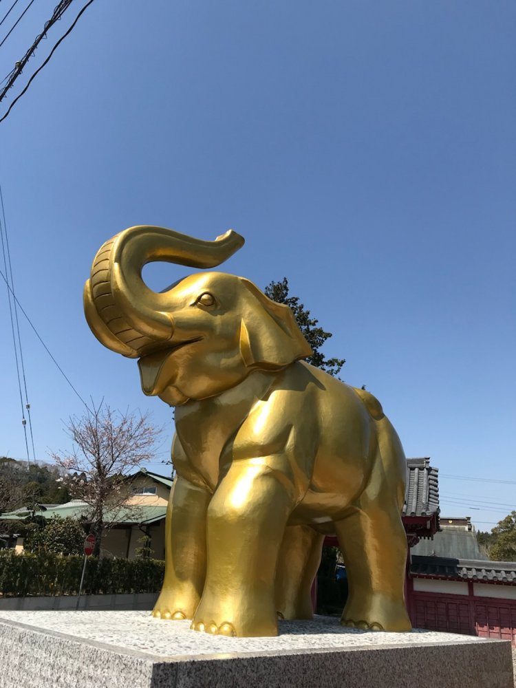 阿部「縁起のよさを派手に謳っていて、にぎやか」