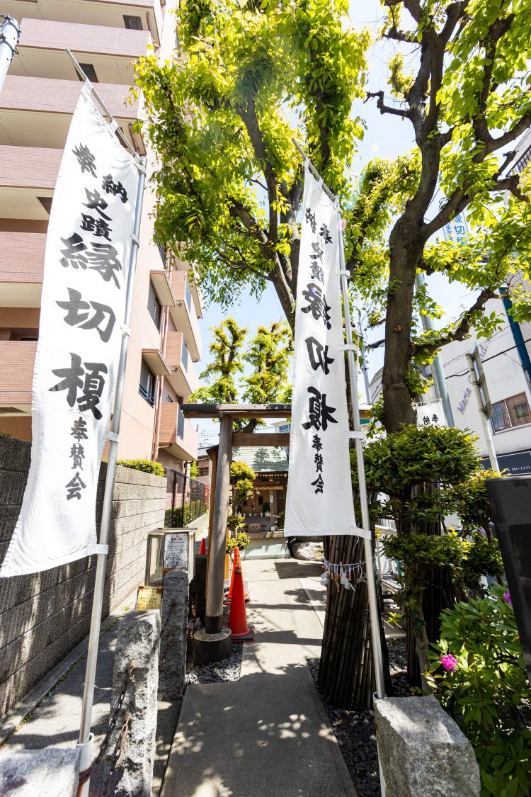 江戸時代より、男女や全ての悪縁を断つパワースポット。現在の榎は3代目。良縁も生むとか。