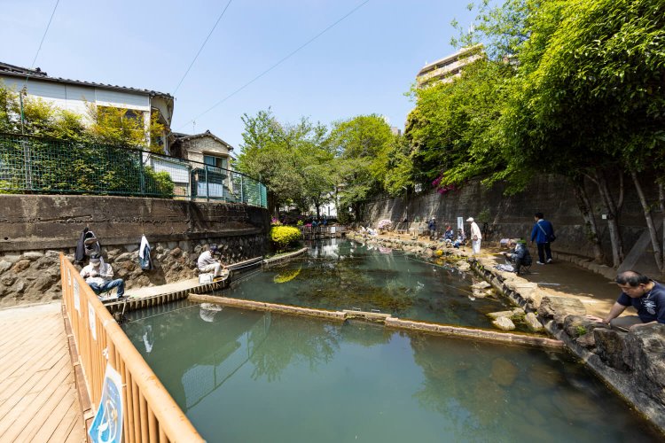 中山道近くとは思えない、まったりムード満載の氷川つり堀公園。