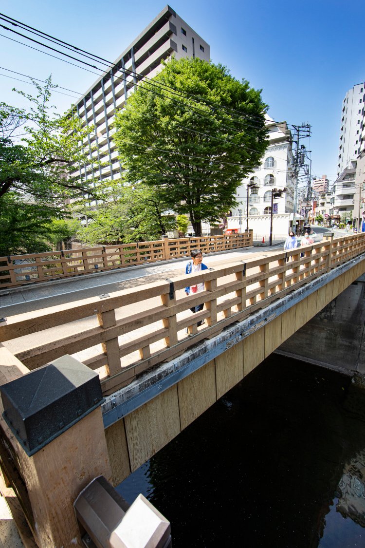 石神井川に架かる、地名の由来にもなった正真正銘の板橋。川沿いには八重桜の並木が続く。「江戸時代には船が行き来してたんだろうなぁ」。