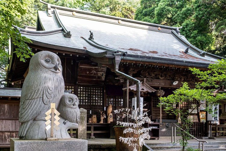 東日本大震災で倒れた燈籠に替わりフクロウの石像が立つ。