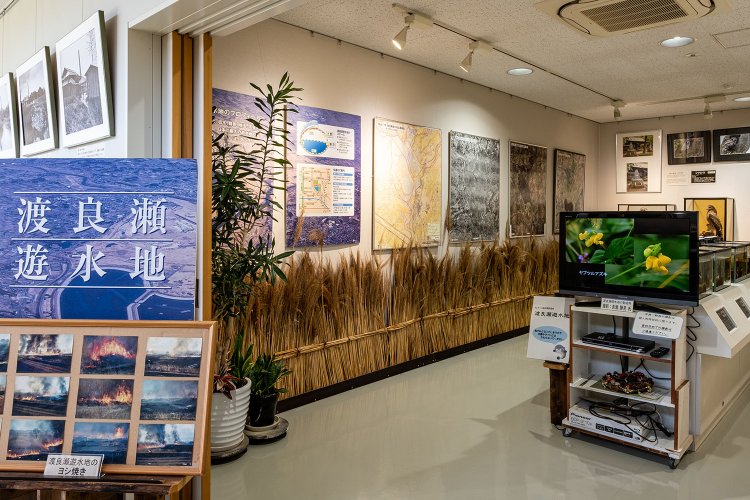 渡良瀬遊水地の概要をまとめた展示室もあるので、足を延ばす前に立ち寄っておこう。