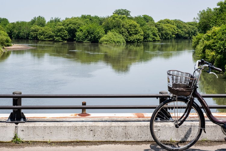 散策には『野木ホフマン館』からレンタサイクル利用が便利だ（写真は野渡橋）。