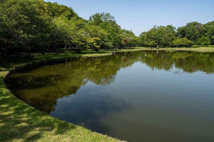 徒歩5分ほどの赤塚ふれあい公園。古墳探訪の休憩に立ち寄りたい。