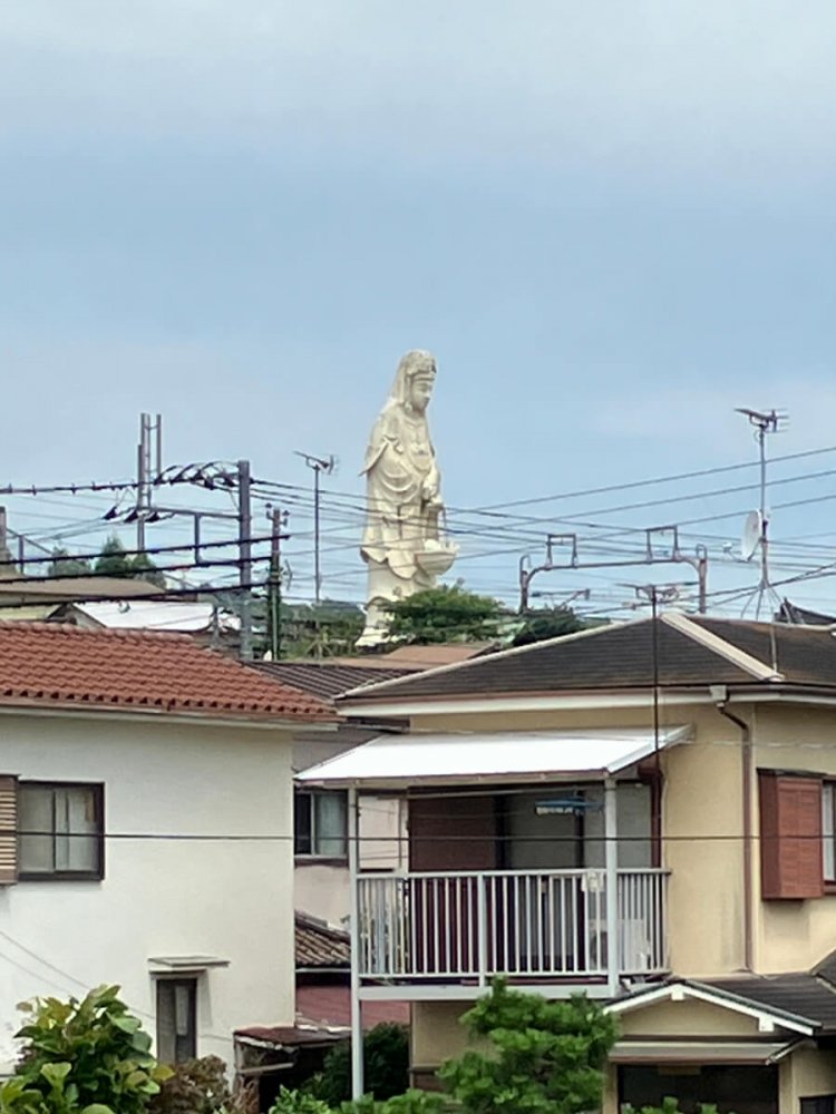 住宅地の奥に見える魚籃観音。買い物帰りの奥さんにも見える。