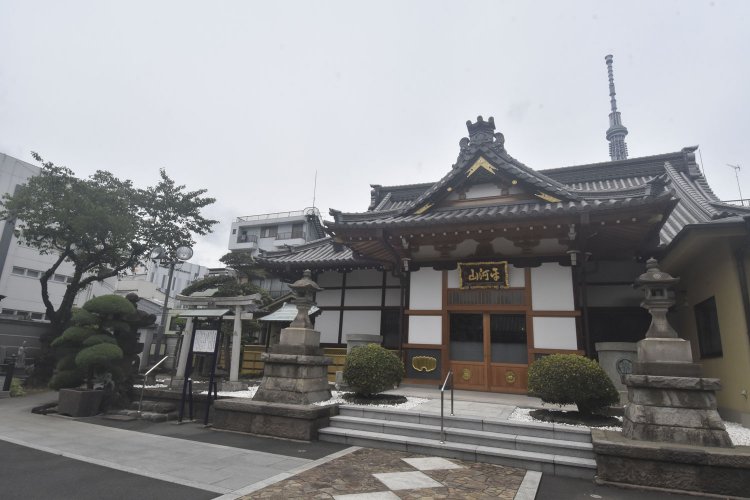法恩寺では屋根越しにスカイツリーが望める。