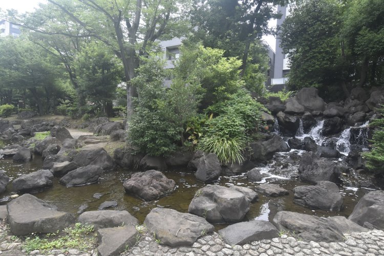 癒やしを提供してくれる大横川親水公園。
