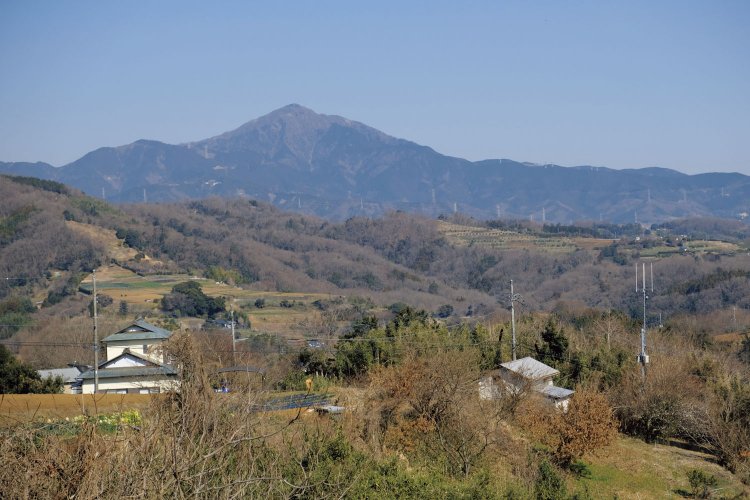 いこいの村の先で林道に入ると、大山の姿がなかなかよい。手前の丘は渋沢丘陵になる。この角度で眺めると、中腹に送電線が目立つのが残念。