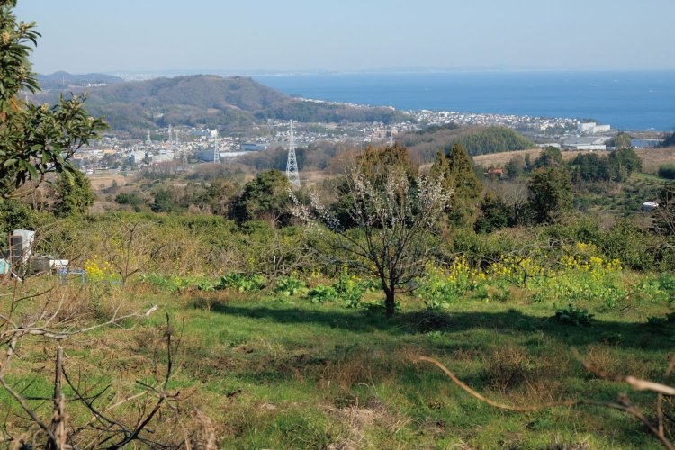 弁天山トンネルの上付近から二宮方面を望む。左奥の山というか丘は二宮駅西側にある吾妻山。