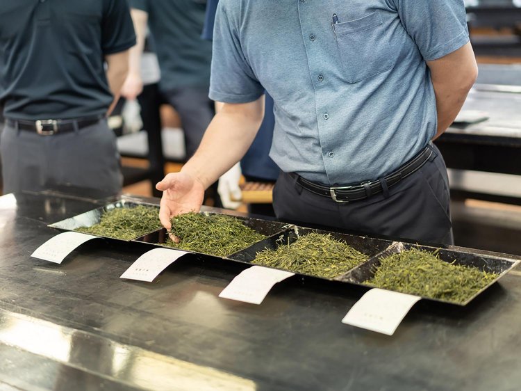 【Re:leaf Record】茶市場を知る①