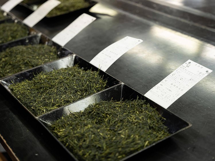 【Re:leaf Record】茶市場を知る①