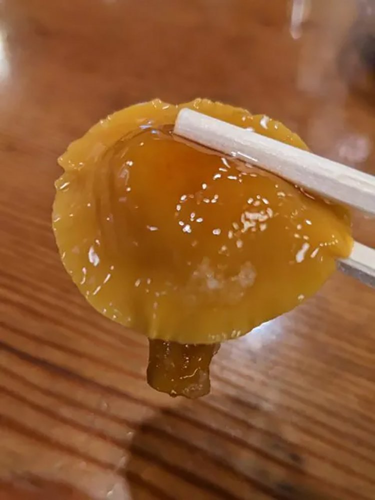 【酒場ナビ】長野酒場　松本「大漁」