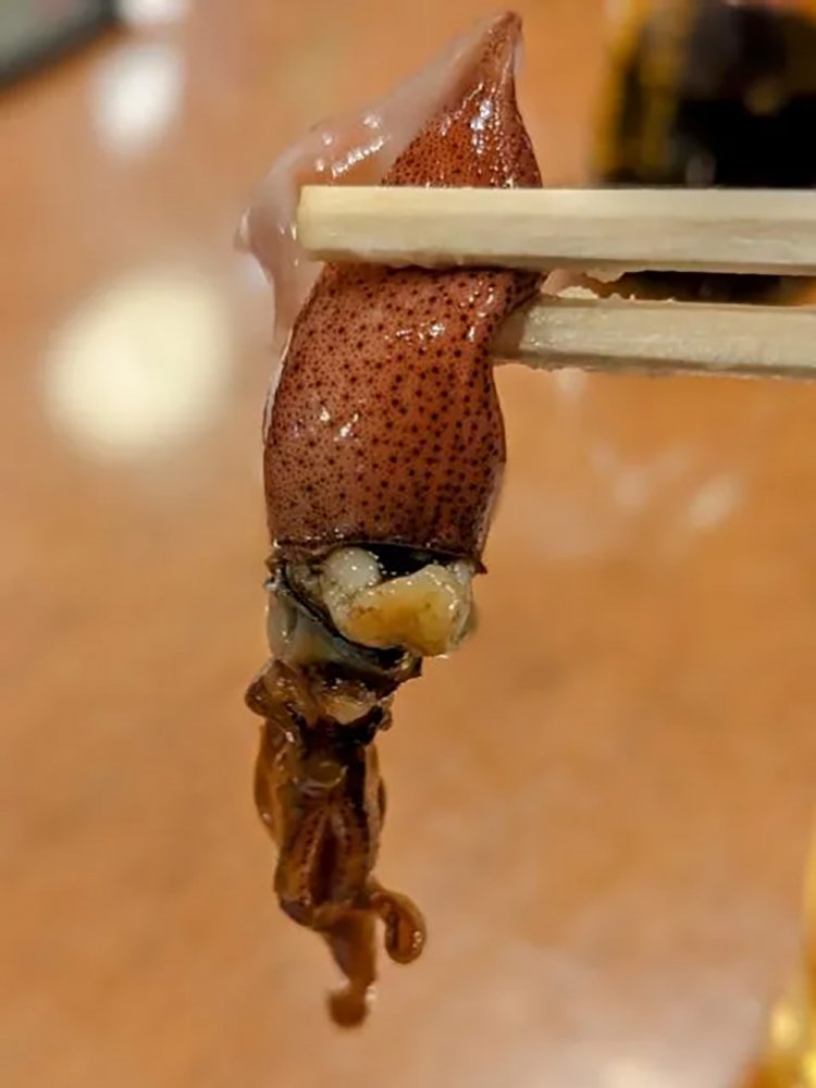 【酒場ナビ】長野酒場　松本「大漁」