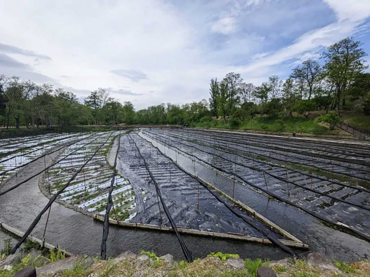 【酒場ナビ】長野酒場　松本「大漁」