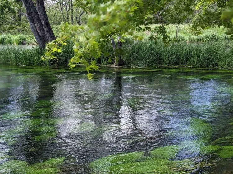 【酒場ナビ】長野酒場　松本「大漁」