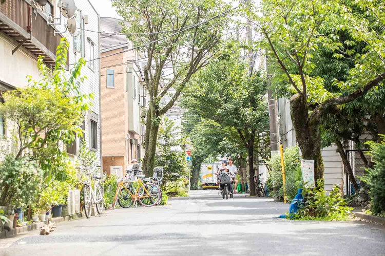 『善福寺珈琲 江ノ屋』前の並木道。時が止まったような懐かしさが漂う。