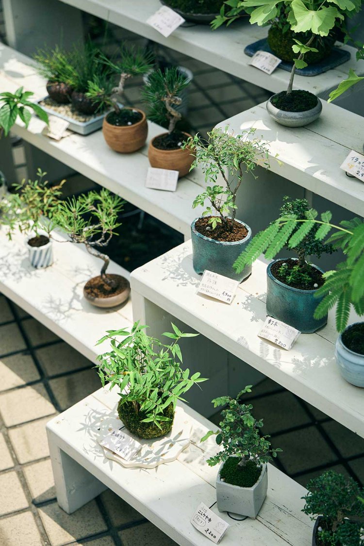 【散歩の達人】荻窪さんぽ