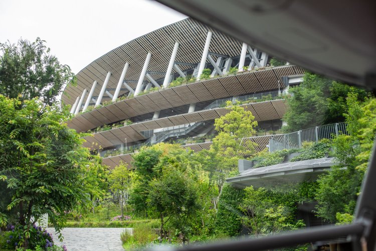 国立競技場はまさに「木と緑のスタジアム」。木材が周辺の緑と調和していて美しい。
