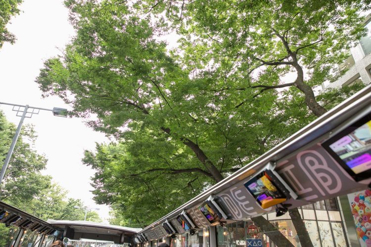 2階の座席からケヤキの枝葉が間近に見える。