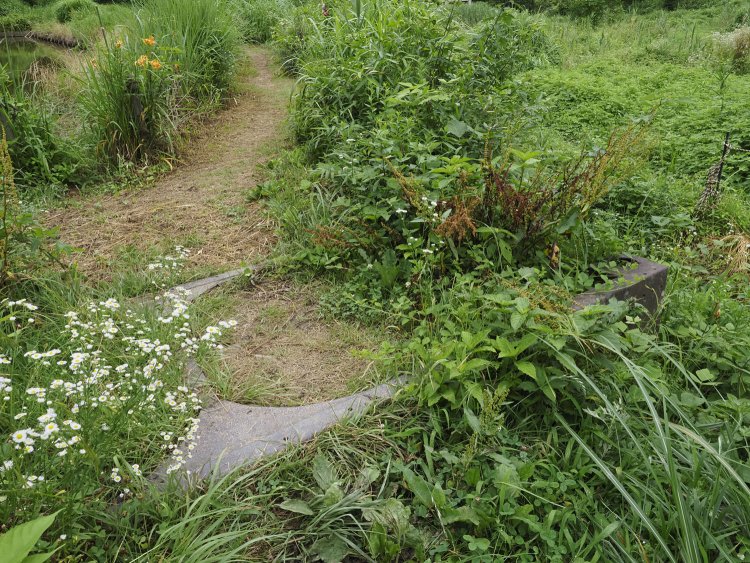 台枠の上部を見てみる。横枠は梁(はり)で繋がっているようだが、土に埋もれているため判別しにくい。