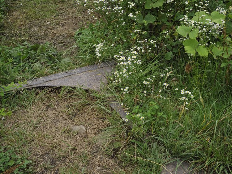 梁の部分は補強板のように裾部分が広がっている。