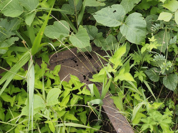 梁部分をクローズアップ。穴が開いているのは腐食だろう。