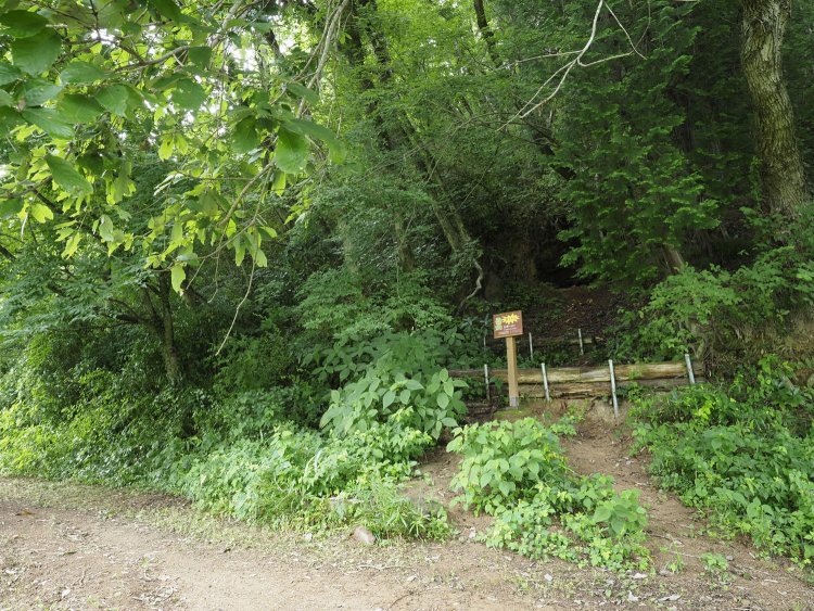 第2の戦車橋へ行く途中にある地下壕。ここも急斜面を上がった先に壕の口が開いている。壕は写真右側部分だ。