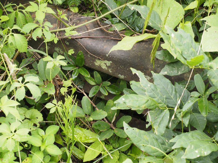 横枠にはダクトだろうか、穴が開いてあった。